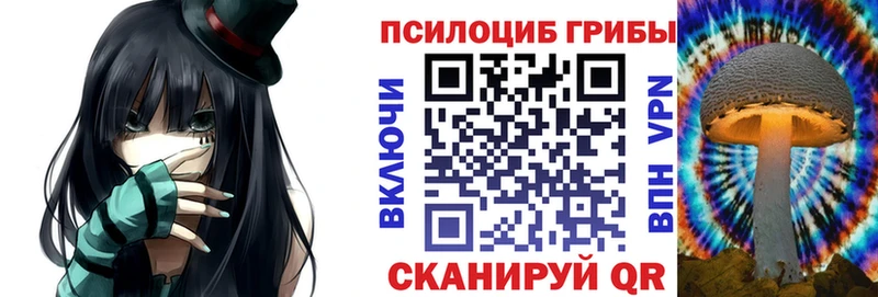 Купить где  Каспийск  Галлюциногенные грибы GOLDEN TEACHER