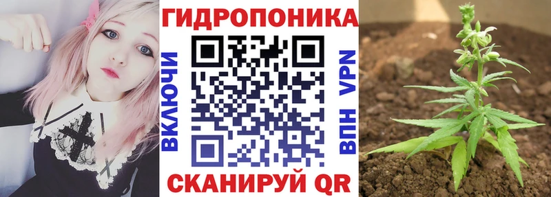 Конопля MAZAR  Купить где  Каспийск 